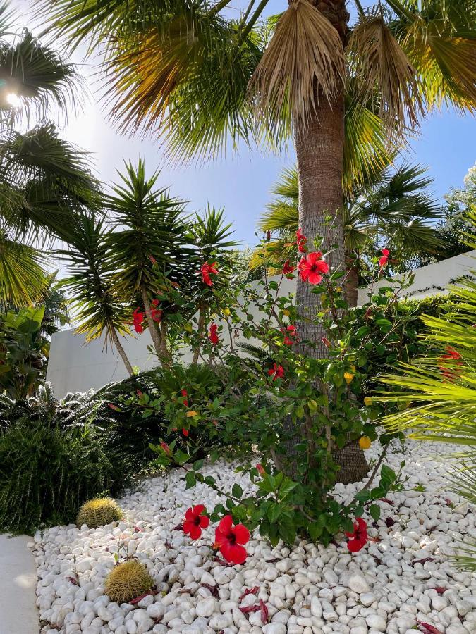 Superior Apartment For Golf, Sea And Nature Lovers Casares Eksteriør billede