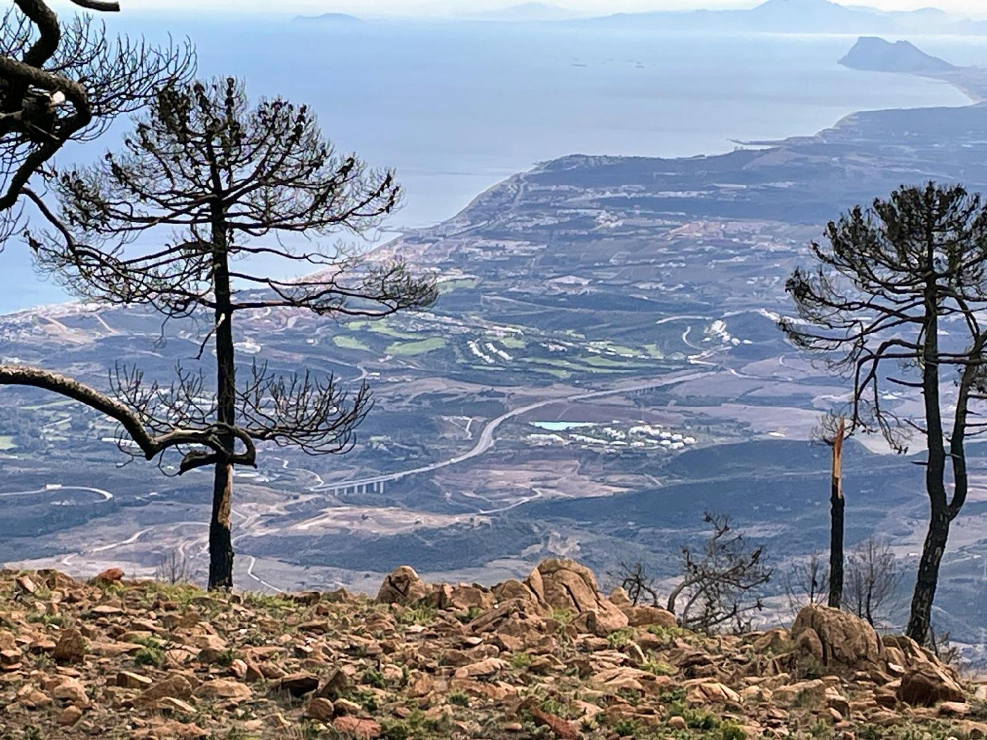 Superior Apartment For Golf, Sea And Nature Lovers Casares Eksteriør billede